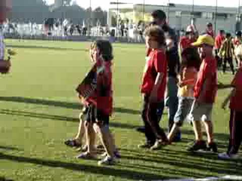 Pintarolas em Paços de Brandão 2