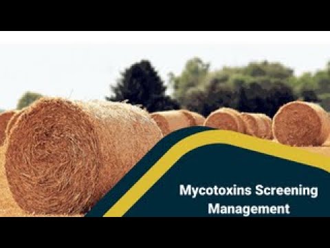 MYCOTOXINS SCREENING and AUTOMATION: a perspectives Webinar
