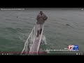 Marine Biologist Reflects On Close Encounter With Great White Shark