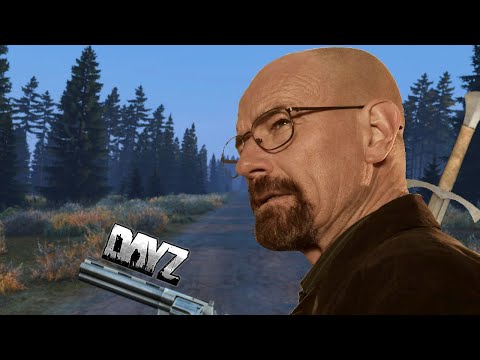 Losing my sanity in DayZ