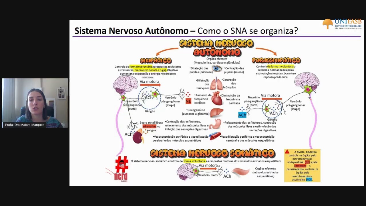 Aula 13_Sistema Nervoso Autônomo_SOI