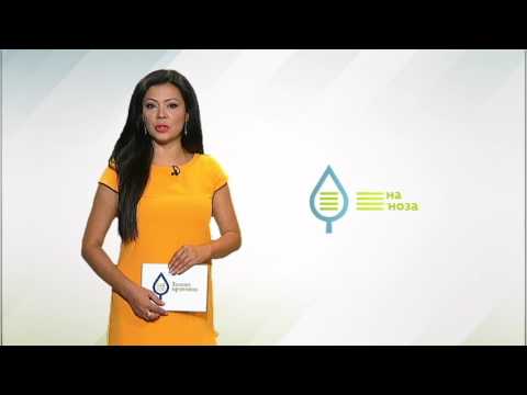 Zelena prognoza, 7.7.2017. - O breskvinom smotavcu