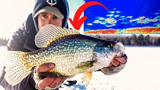 LiveScope Crappies | BIG Schools of BIG Fish + New Lake Breakdown