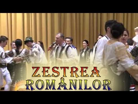 Ion Binzari - Haideti Mai Feciori La Joc