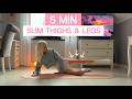 5 MIN SLIM THIGH WORKOUT Lose Inner Outer Thigh Fat FAST No Equipment