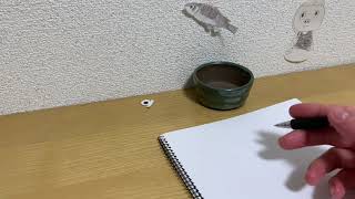 ヒロアカの話とか