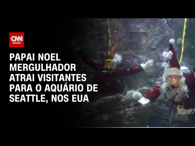 Papai Noel mergulhador atrai visitantes para o Aquário de Seattle, nos EUA | CNN BRASIL