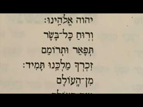 8. Nishmat - נשׁמת