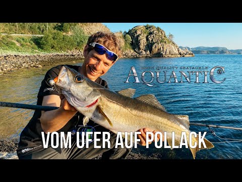 Vom Ufer auf Pollack - Angeln in Norwegen mit AQUANTIC
