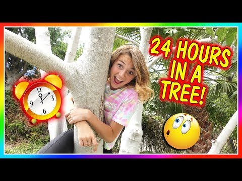 24 Stunden in einem Baum leben! | Wir sind die Davis