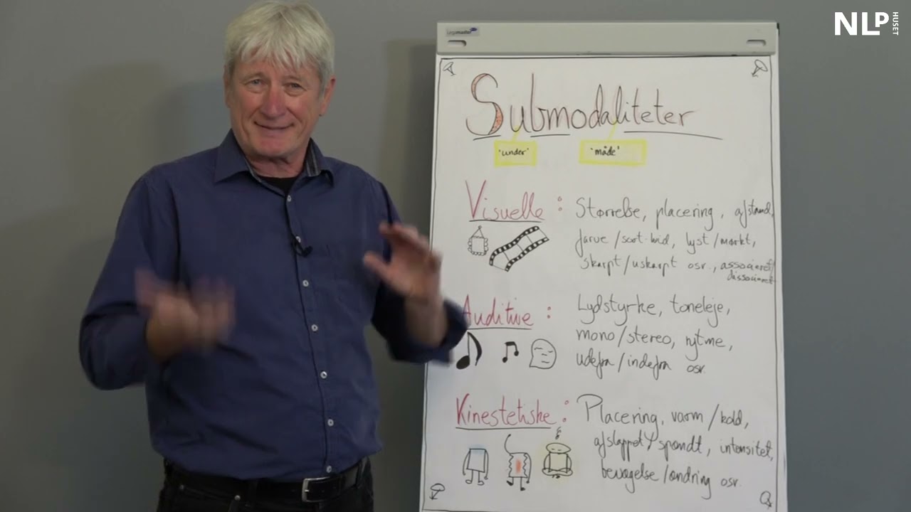 Submodaliteter