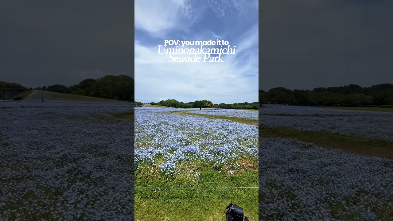 YouTube Short thumbnail