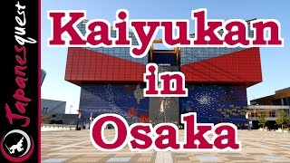 preview picture of video 'Osaka Aquarium Kaiyukan - Your Best Japan Guide'