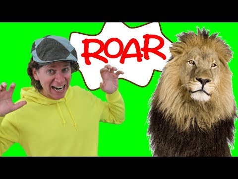 The Lion Song with Matt | Wild Animal Songs | Learn English Kids