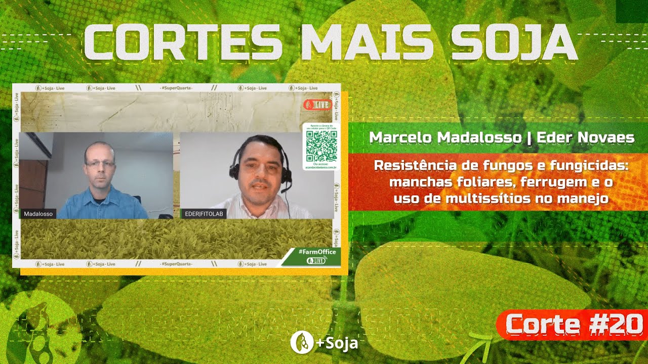 RESISTÊNCIA DE FUNGOS | Cortes Mais Soja