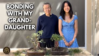 Starting My Granddaughter Off with a Chinese Elm Bonsai
