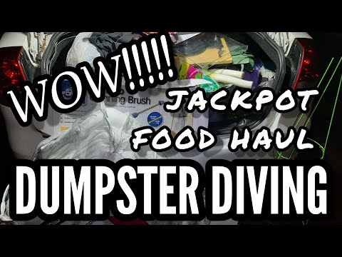 DUMPSTER DIVING AUSTRALIA | JACKPOT FOOD HAUL | HUGE DONATION | BIN LIVING WITH BIG B ADVENTURES