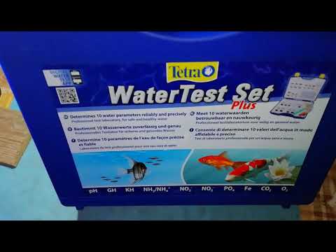 Watch Video on YouTube