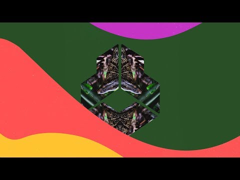 Costel Van Dein - Speaker From The Jungle