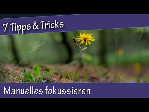 7 Tipps fürs  manuelles fokussieren