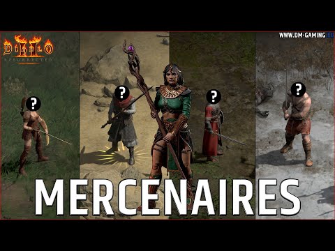 Best Sorceress Mercenaries Diablo 2 Resurrected 2.4, step by step with stuff!