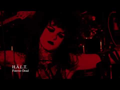 H.Ä.L.T. // FOREVER DEAD