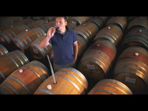 Weingut Benedikt Baltes - Klingenberg am Main