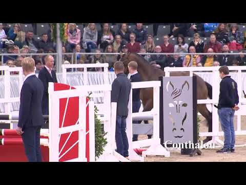 Conthalou English 2020