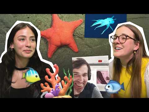 CONICET en el fondo del mar #6 | EN TEORÍA con Almendra Veiga y Cele Giardinelli