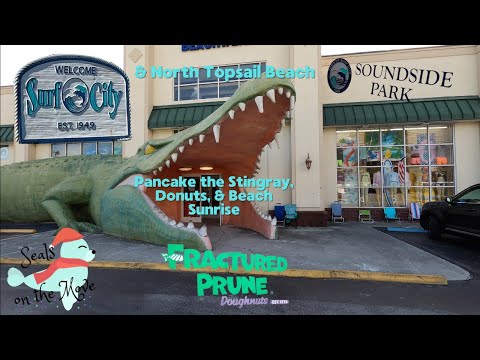 Surf City North Carolina & North Topsail Beach NC - Pancake the Stingray, Donuts, & Beach Sunrise