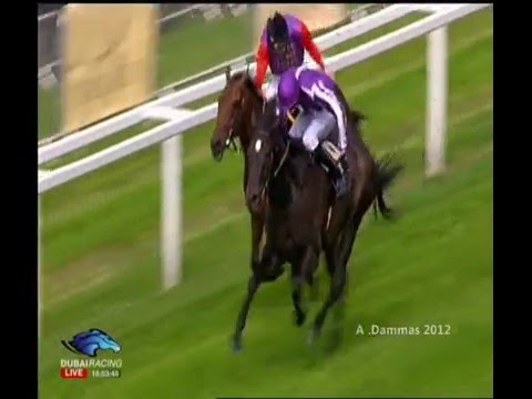 Prince of Wales's Stakes G1 -  SO YOU THINK -  ROYAL ASCOT 2012