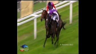 Prince of Wales's Stakes G1 -  SO YOU THINK -  ROYAL ASCOT 2012