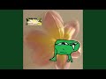 water lily