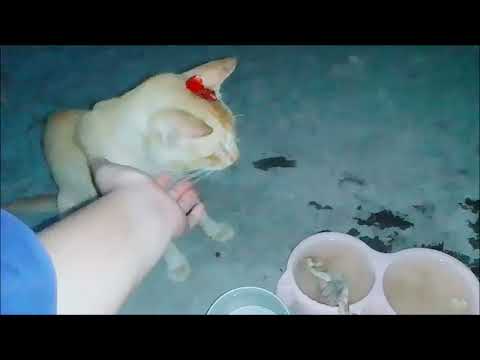 Naseeban khol dy Mera 😫❤️ #allhamdulillah #viral #pakistani #pakistan