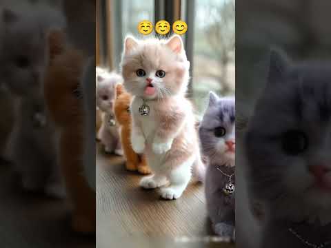 #ai #comedy #new #best # funny😊😊😊😊😊