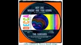 SURFARIS - HEY JOE