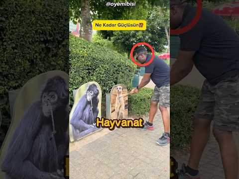 Hayvanları Merak Eden Adamın Yaşadıkları❗😂