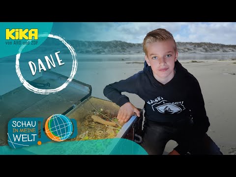 Dane - Der Schatzsucher von Terschelling | Schau in meine Welt! | Mehr auf KiKA.de