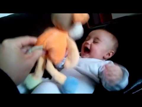 Amelie mange madame la vache