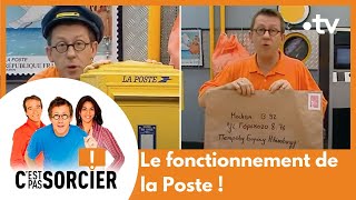 C'est pas sorcier - GUERRE DE 14-18