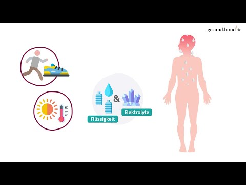 Warum sind Elektrolyte wichtig?