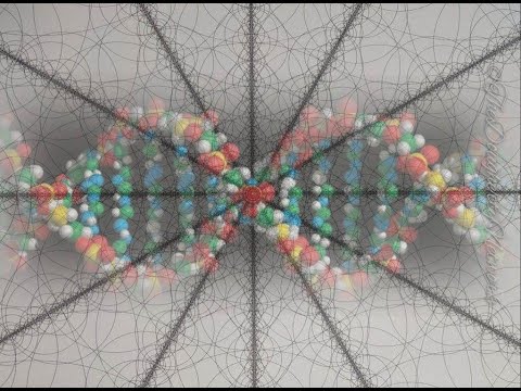 #89 How do living creatures come into existence? / Electro-sonic Speciation Theory