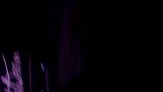 Paul van Dyk - Get Back Live TLFA2007