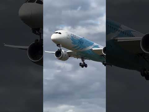 Sem filtro 787 China Southern