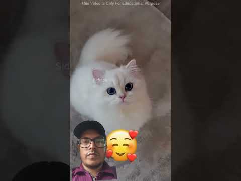 Cute puppy 🥰🥰 like subscribe #short #viral#art #cat #drawing