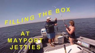 preview picture of video '72 quarts of BIG WHITING, Mayport Jetties'