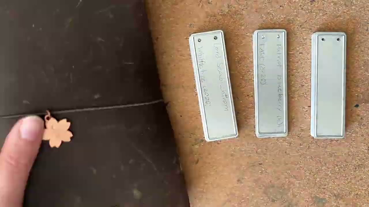 YES, I DO SOMETIMES STILL USE CHEAP BALLPOINTS | sick week & tree labels