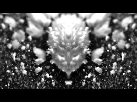 Counterstrike & The Panacea - Tockotronic