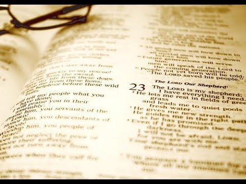 Understanding the Psalms