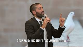 מי הוא האיש בעל הכנפיים🦋 ואיזה נס בורא עולם עשה לו? 🤩 הרב שניר גואטה בסיפור מדהים! - עם כתוביות (הרב שניר גואטה) - התמונה מוצגת ישירות מתוך אתר האינטרנט יוטיוב. זכויות היוצרים בתמונה שייכות ליוצרה. קישור קרדיט למקור התוכן נמצא בתוך דף הסרטון